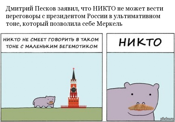 Никто не смеет. Маленький Бегемотик комикс. Маленький Бегемотик никто не смеет. Маленький Бегемотик никто. Никто не смеет шутить с маленьким бегемотиком.