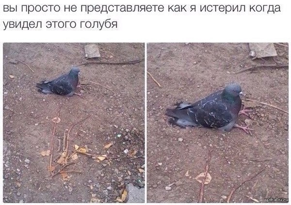 �� ���?��� ���� ����?