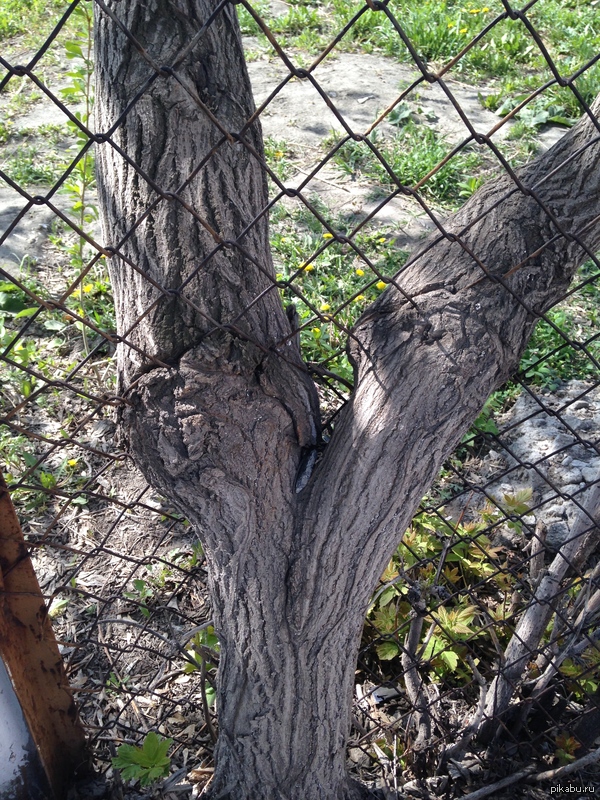 ��� �� ����� ������������� � ���������� ����!