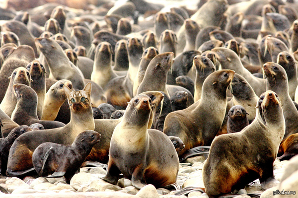 ��������, �� ����������.