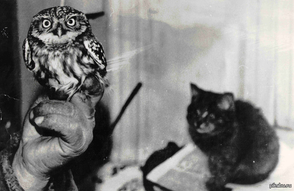 Старое дедушкино фото