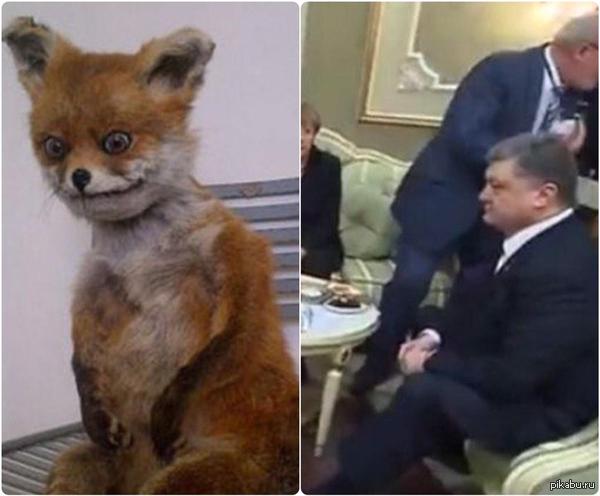 ���������.