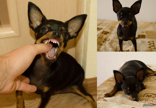 ���� �����