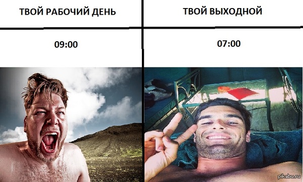 ����� ���������