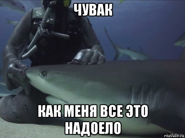 ����� ���� ����