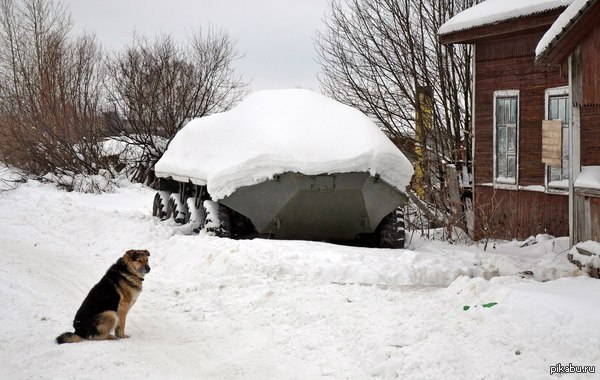 ������� ����������� ����