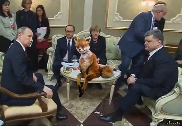 ��������, ���������.