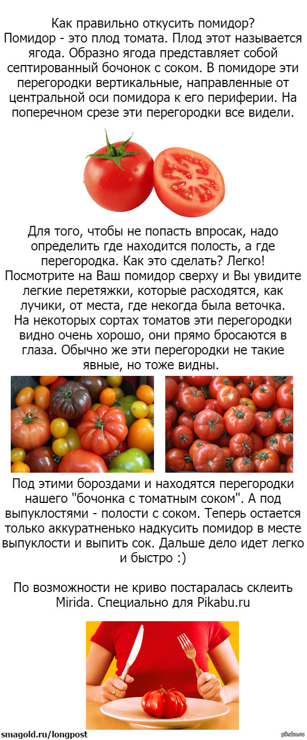 Помидор это ягода или нет. Помидор это ягода или овощ или фрукт. Помидор это фрукт или овощ. Томат это ягода или фрукт. Овощи помидор.