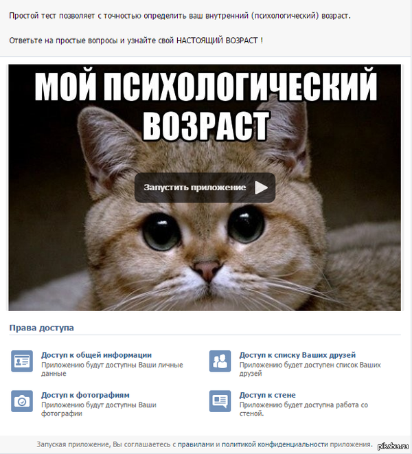 Знакомый кот