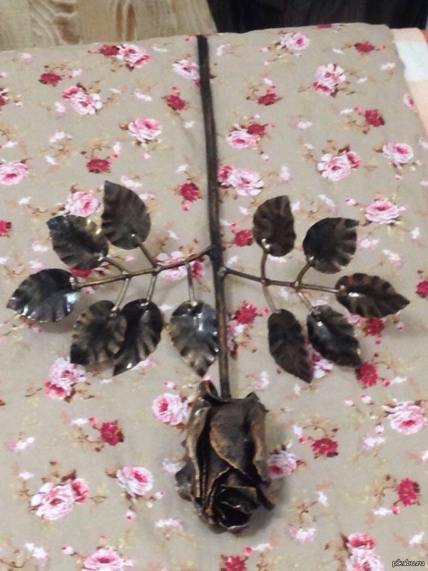 ���� ����� ����