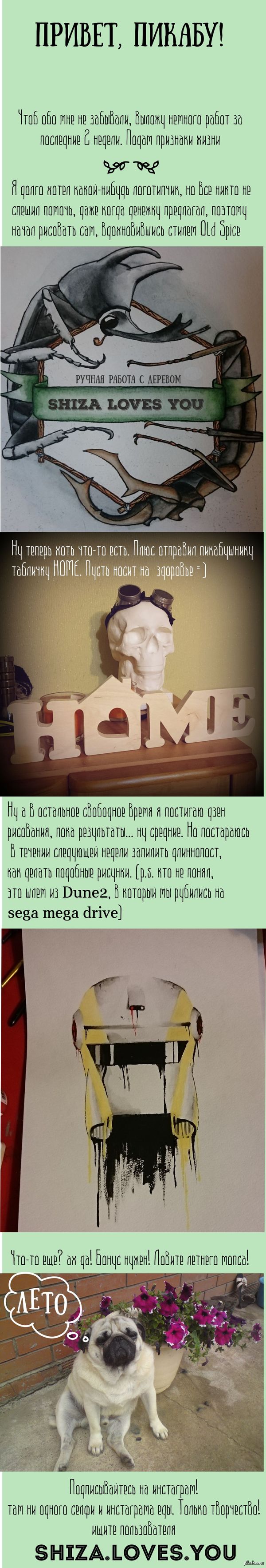 Немного моего