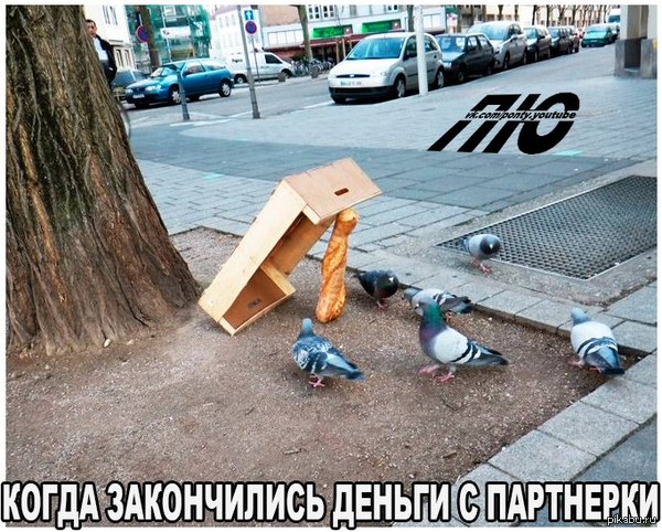 ����� ���� ������!