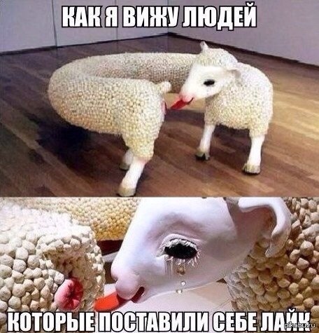 Сам себе сосет картинка