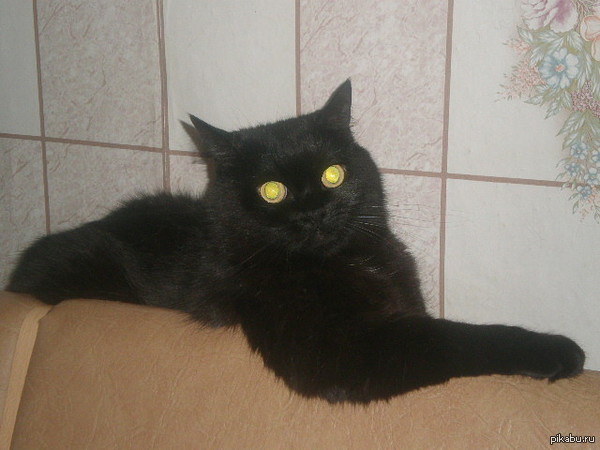 ����� ����...