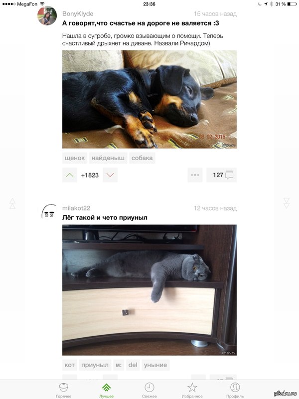 Листаю я тут ленту...