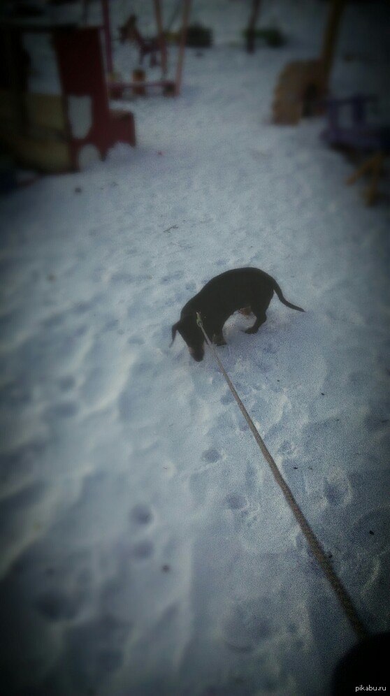 ����� �������� �� ����� �� 14 �������.