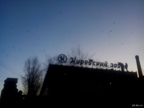 ������������� �������.