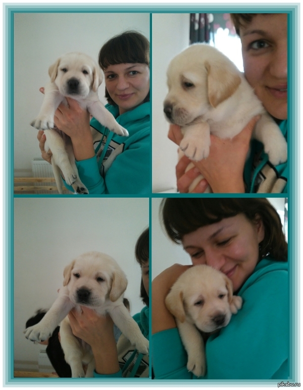 ������ ����������� �� ����))) ������������