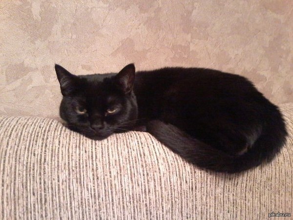 � ��� � ���. �� �� ������ �������?!