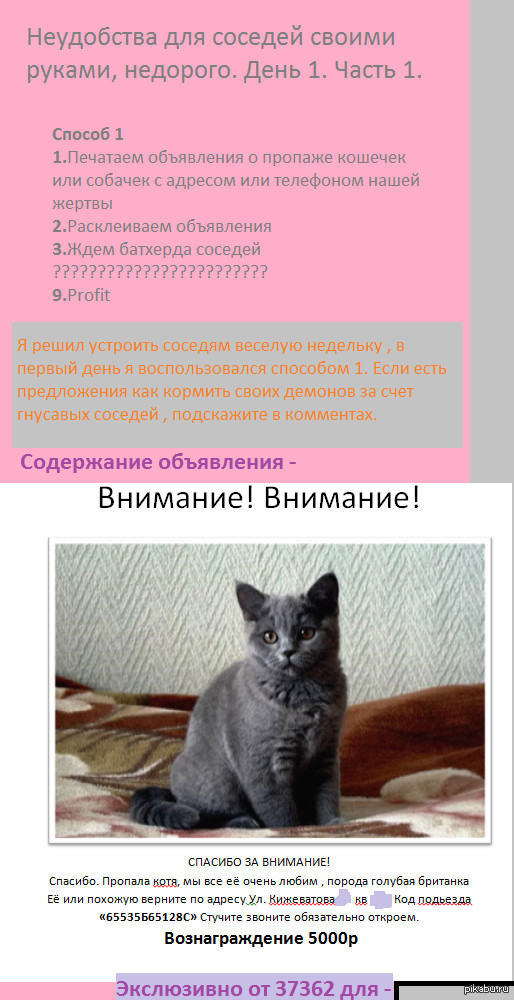 �������� ������� , ������ ������  , ��������. ���� � 1000px. ���� 1 ����� 1.