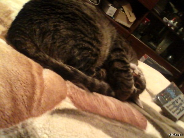 ������ � �� �� ��� ����� ������ ��������, �������� � �����...