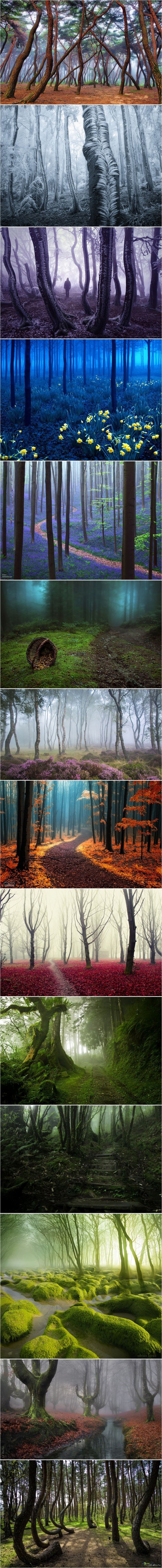 Красивые фото природы