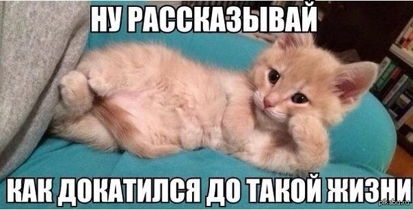 �������, ��������, ����� ������������� � ����� �����������, � ���������� �� �����- �� � ������� ��� ������������..