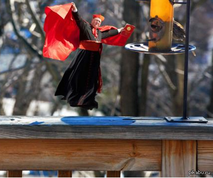 � ������, ���� ��������� � ������, ������ ��� �� ����������2