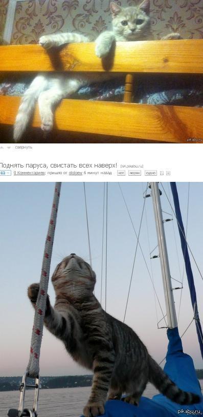 ������ ��..