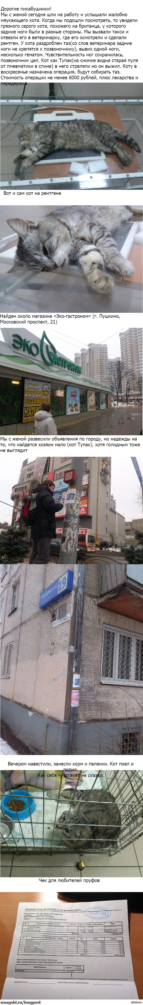 ����� ������ ����