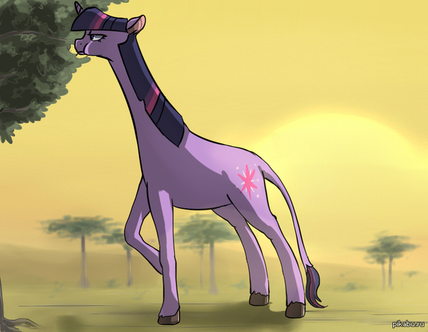 ������������� ��������...