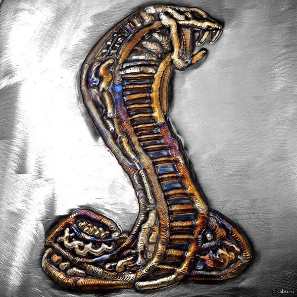 ����� ���� ����� � �������� ���������