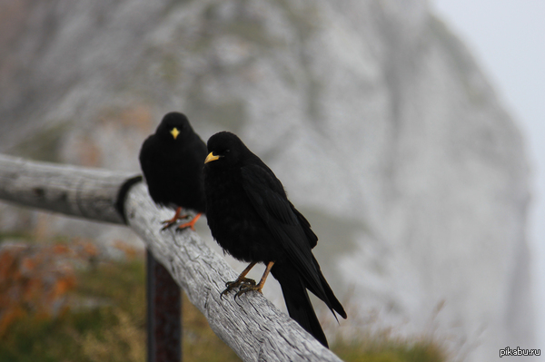 Чернее ночи