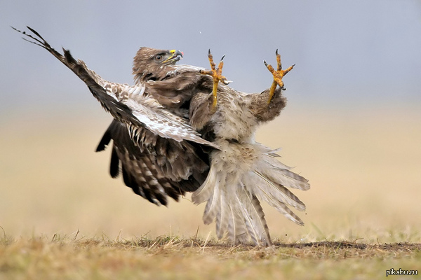 �������