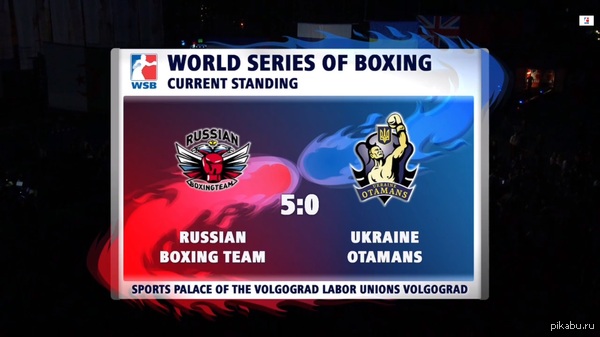    !    (World Series Boxing)   .