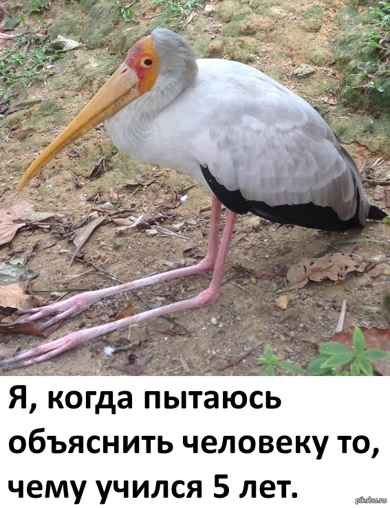 -. 