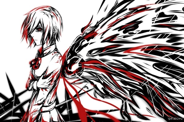   (Kirishima Touka) 