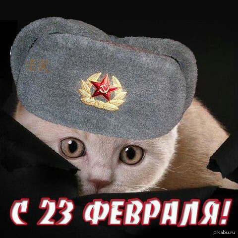 C ���������� ���, ������������ ���