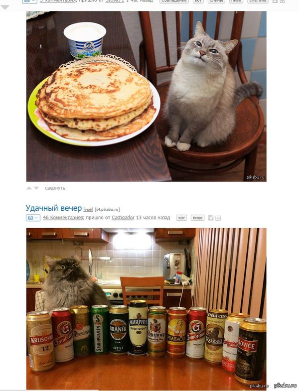 ����������? �� �����