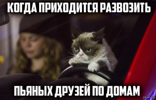 Суровая правда