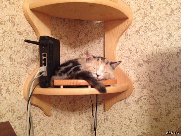  Wi-Fi 