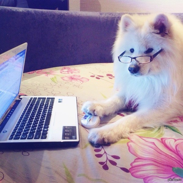 � ���� ������������ ������ ����� �������� � ���.�����?)