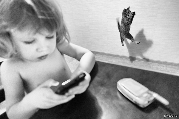     ,   2015 Sony World Photography Awards 