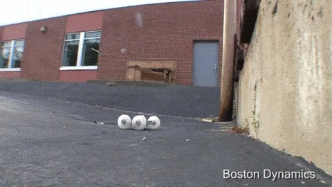    Boston Dynamics 