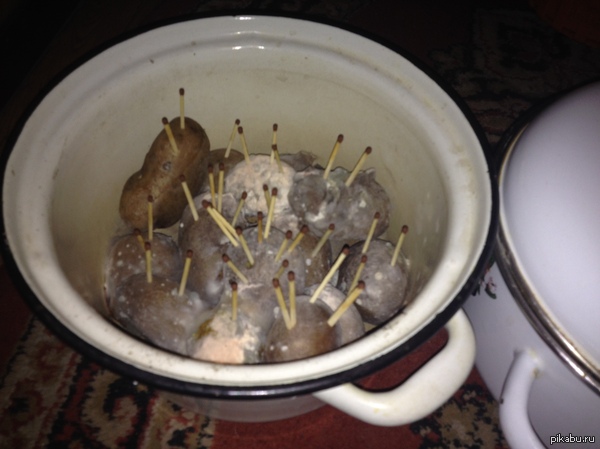 ����� ������ � �����������, � ������ ���� �����!