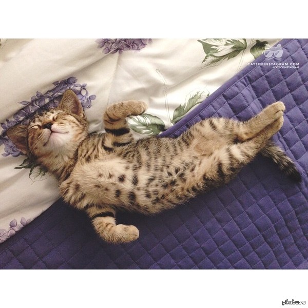 Блаженство :)