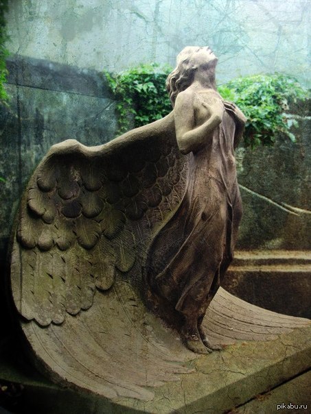 Angel at Powazki Cemetery, Warsaw. ,      .