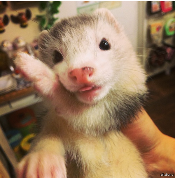 &quot;    ,         .&quot;