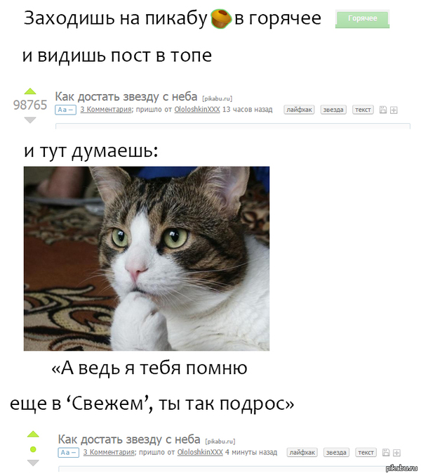 ����� �������� � �������