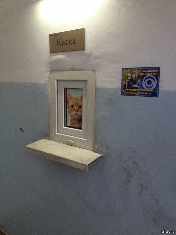 ������� - �� ������� !